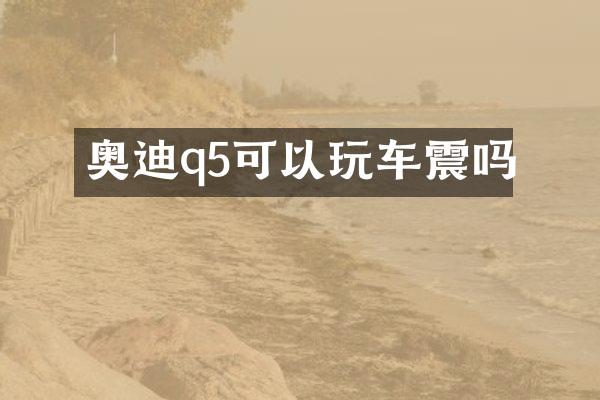奥迪q5可以玩车震吗