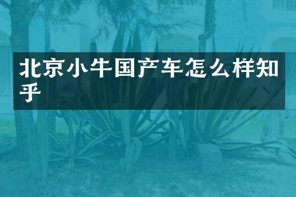 北京小牛国产车怎么样知乎