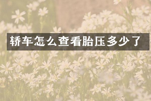 轿车怎么查看胎压多少了