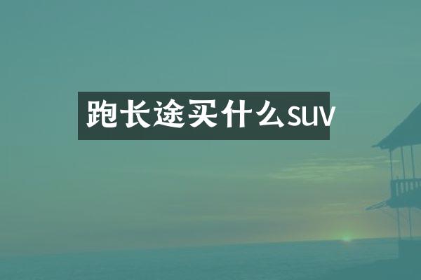 跑长途买什么suv