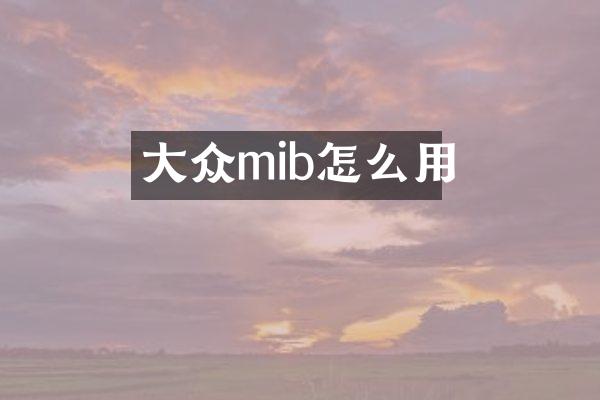 大众mib怎么用