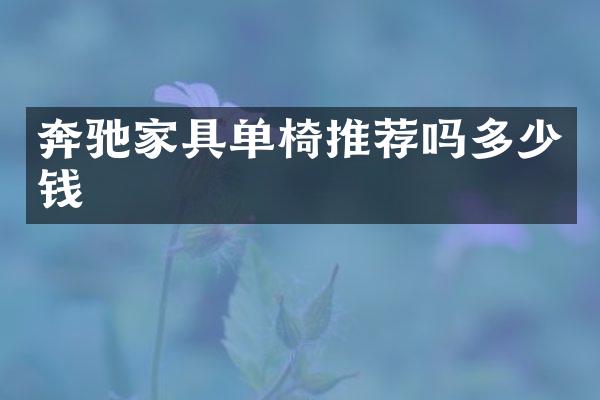奔驰家具单椅推荐吗多少钱