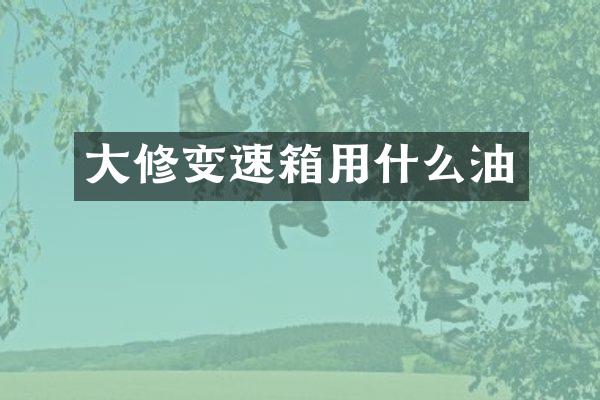 大修变速箱用什么油