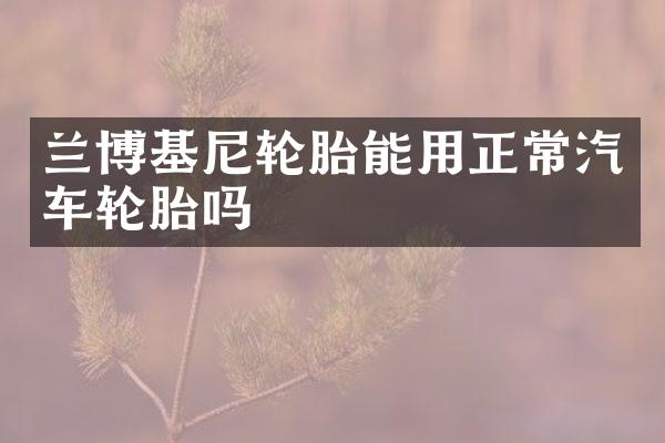 兰博基尼轮胎能用正常汽车轮胎吗