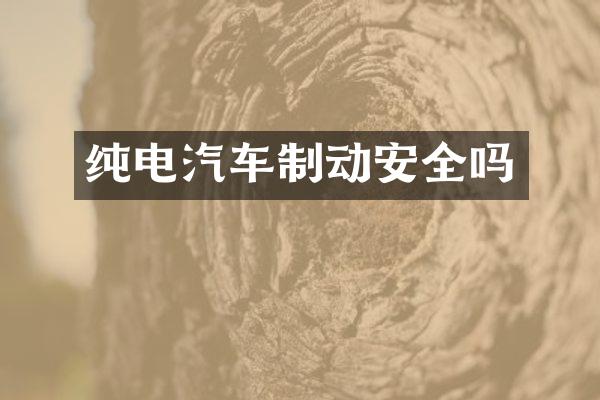 纯电汽车制动安全吗