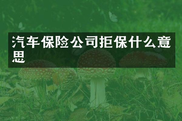 汽车保险公司拒保什么意思