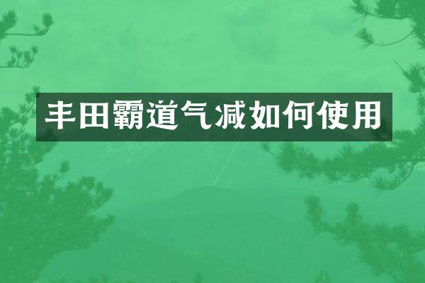 丰田霸道气减如何使用
