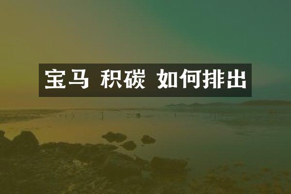 宝马 积碳 如何排出