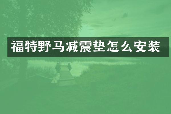 福特野马减震垫怎么安装