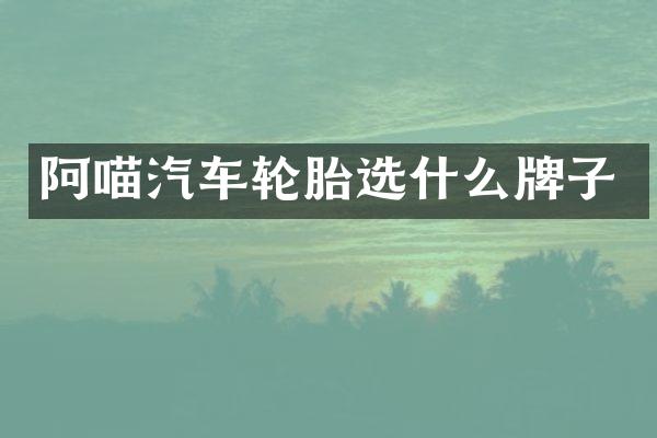 阿喵汽车轮胎选什么牌子