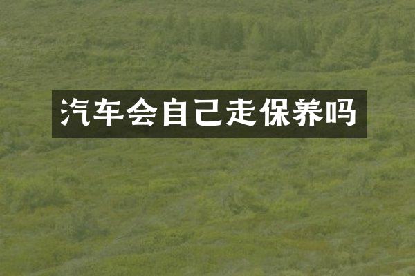 汽车会自己走保养吗