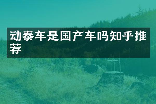 动泰车是国产车吗知乎推荐