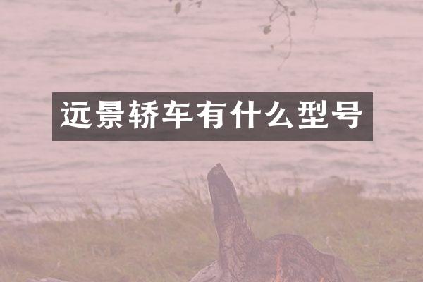 远景轿车有什么型号