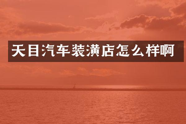 天目汽车装潢店怎么样啊