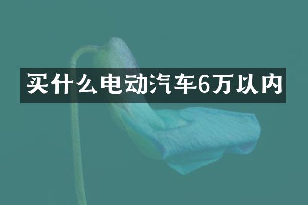 买什么电动汽车6万以内
