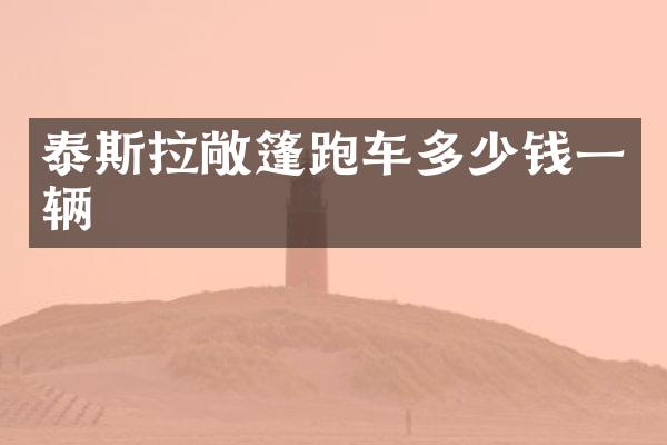 泰斯拉敞篷跑车多少钱一辆