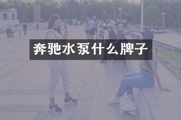奔驰水泵什么牌子