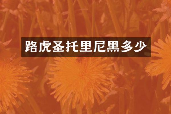路虎圣托里尼黑多少