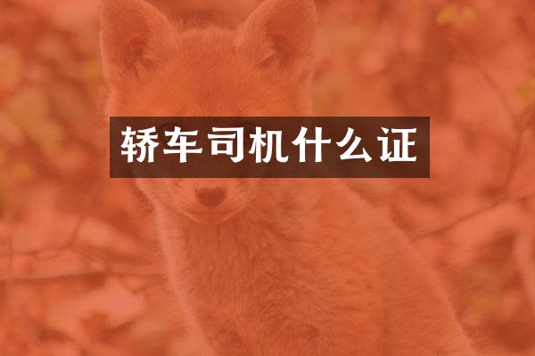 轿车司机什么证