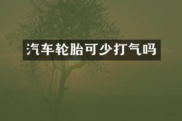 汽车轮胎可少打气吗