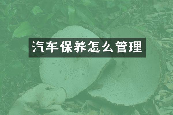 汽车保养怎么管理