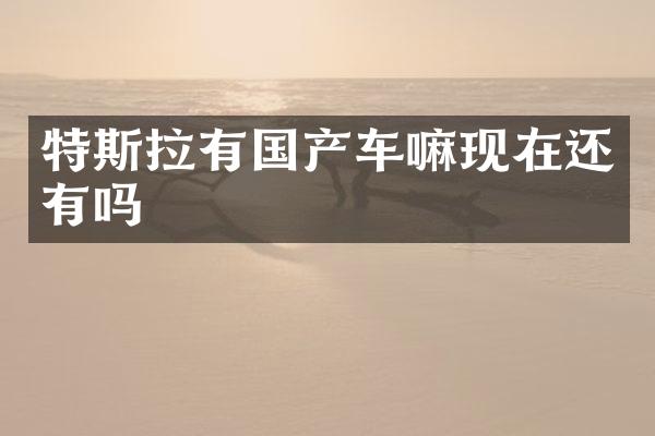 特斯拉有国产车嘛现在还有吗