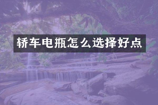 轿车电瓶怎么选择好点