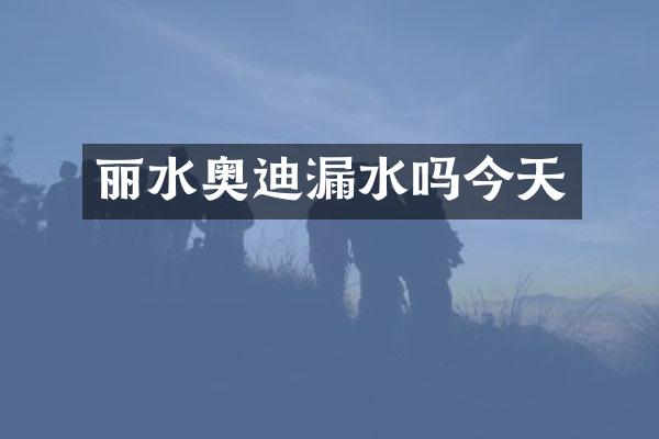 丽水奥迪漏水吗今天