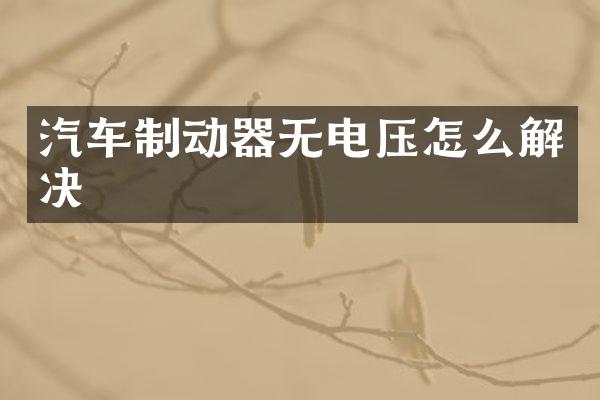 汽车制动器无电压怎么解决