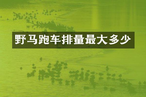 野马跑车排量最大多少