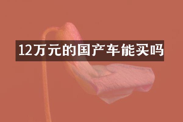 12万元的国产车能买吗