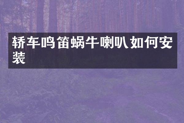 轿车鸣笛蜗牛喇叭如何安装
