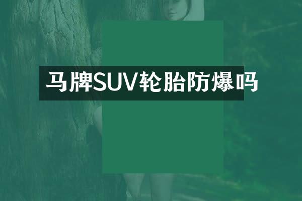 马牌SUV轮胎防爆吗