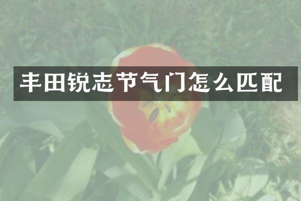 丰田锐志节气门怎么匹配