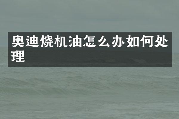 奥迪烧机油怎么办如何处理