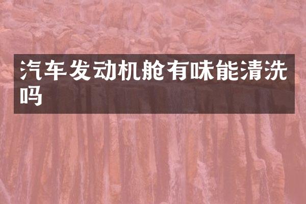 汽车发动机舱有味能清洗吗