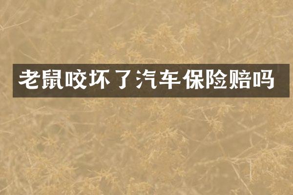 老鼠咬坏了汽车保险赔吗