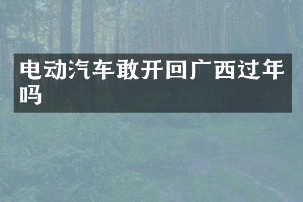 电动汽车敢开回广西过年吗
