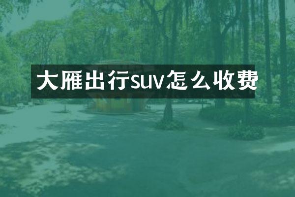 大雁出行suv怎么收费
