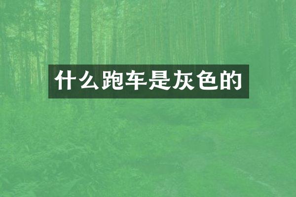 什么跑车是灰色的
