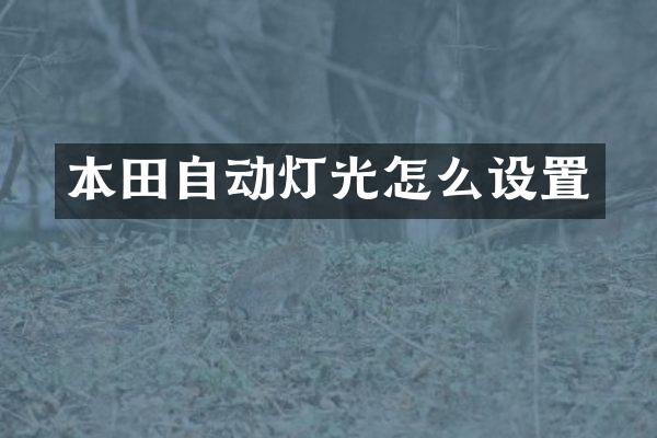 本田自动灯光怎么设置