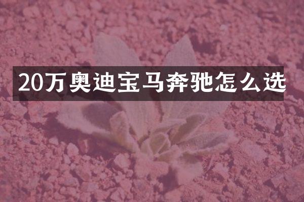 20万奥迪宝马奔驰怎么选