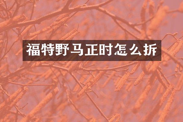 福特野马正时怎么拆