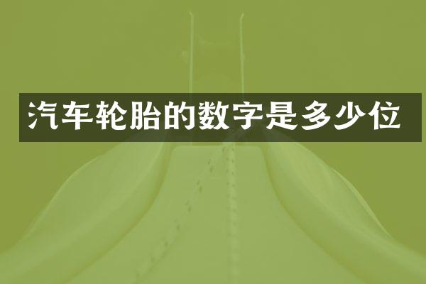 汽车轮胎的数字是多少位