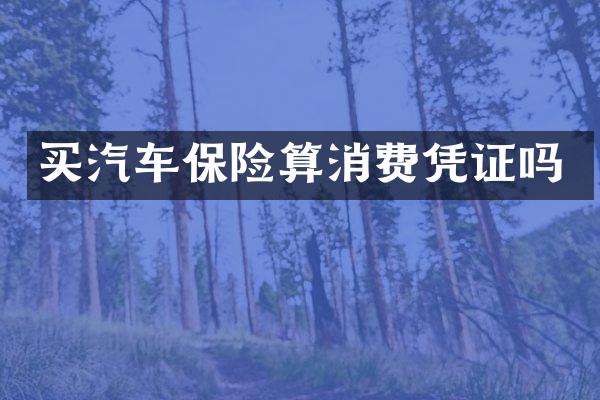 买汽车保险算消费凭证吗