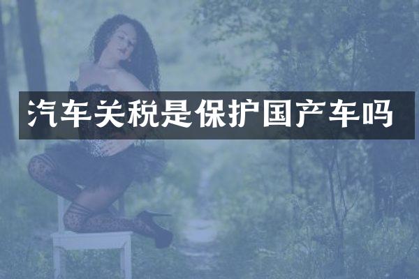 汽车关税是保护国产车吗