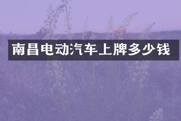 南昌电动汽车上牌多少钱