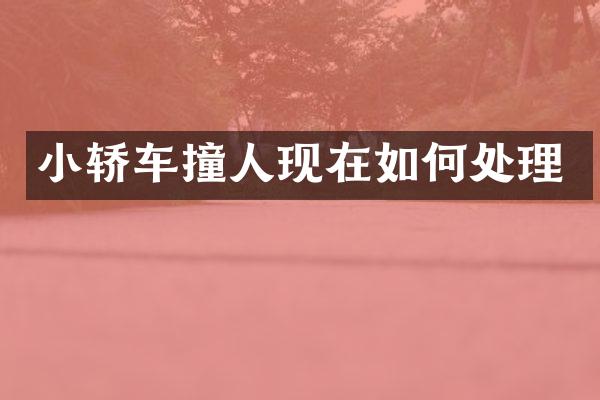 小轿车撞人现在如何处理
