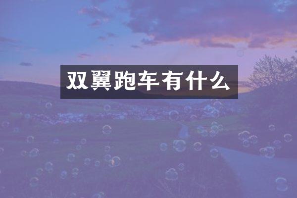 双翼跑车有什么