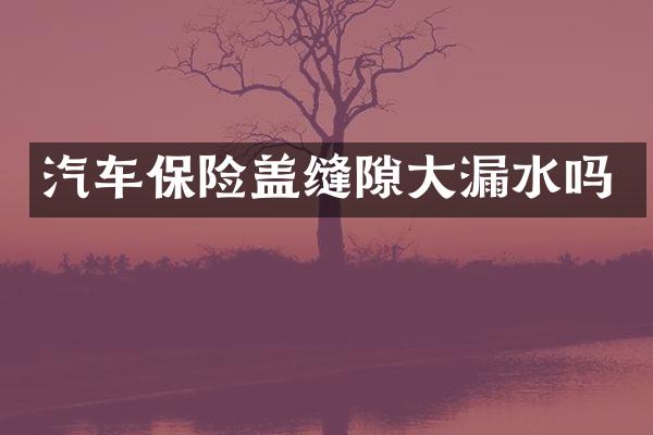 汽车保险盖缝隙大漏水吗